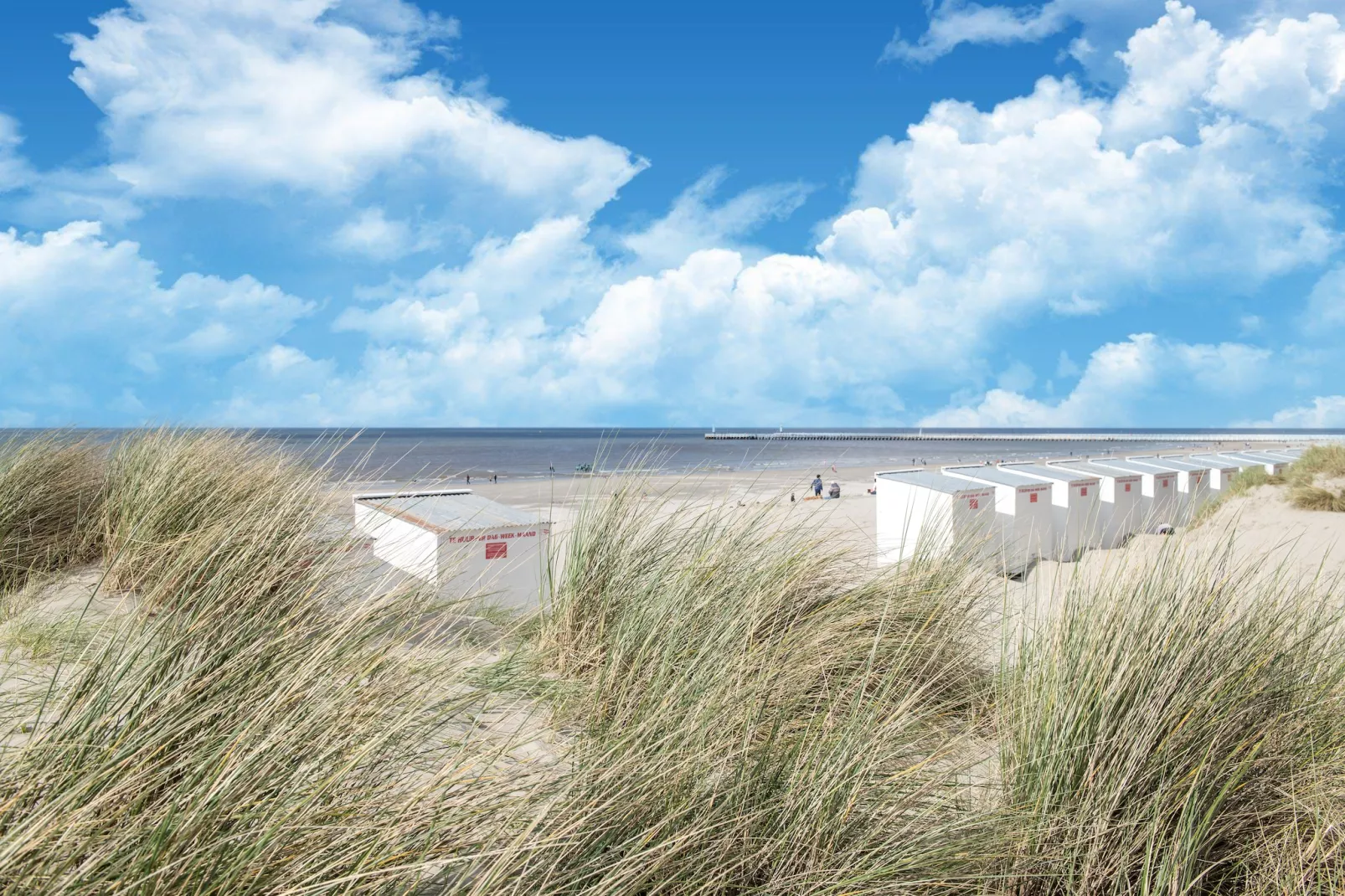 Strand Imperial 0503-Gebieden zomer 5km
