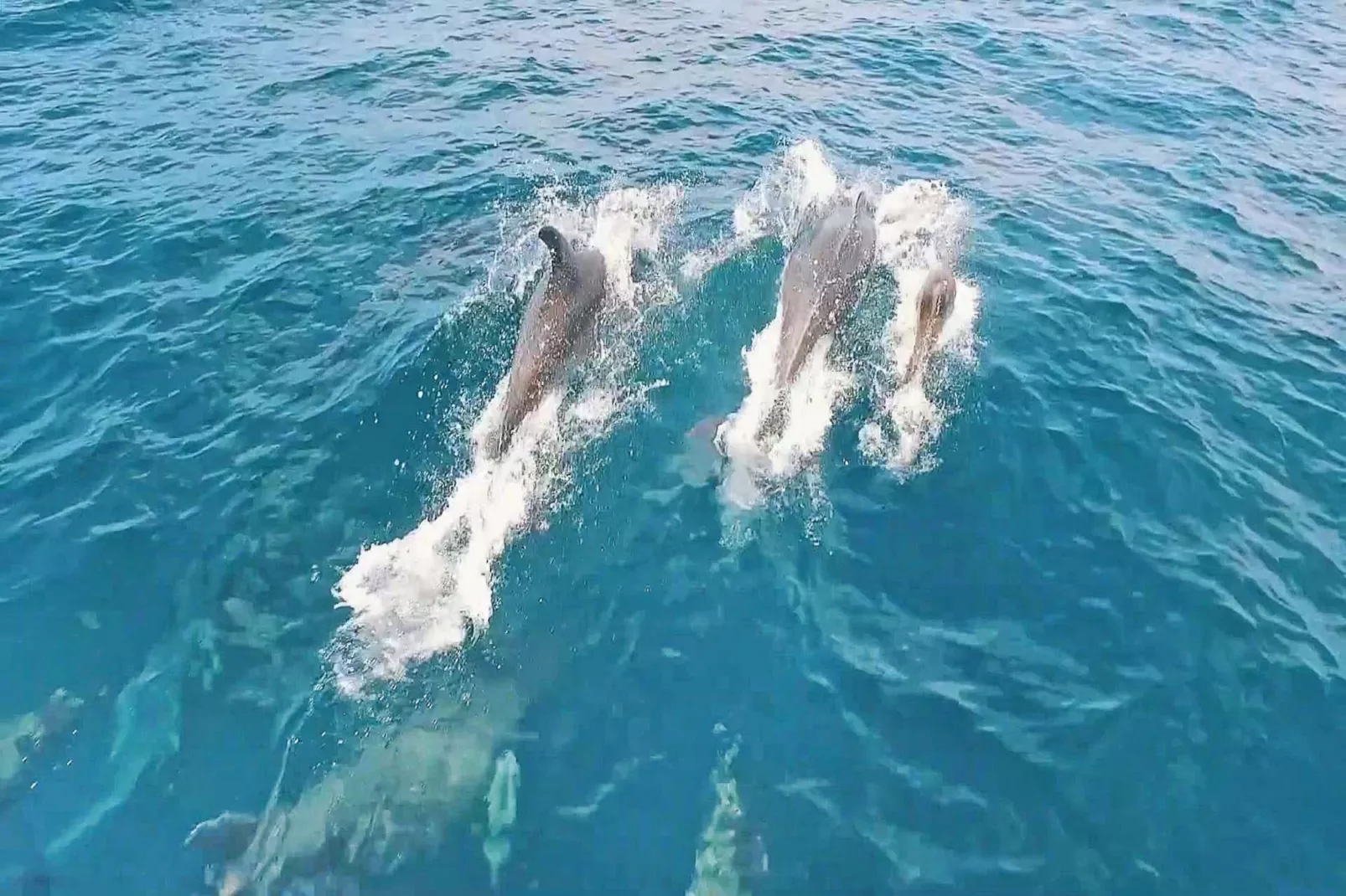 Villa Cayo Coco-Uitzicht zomer