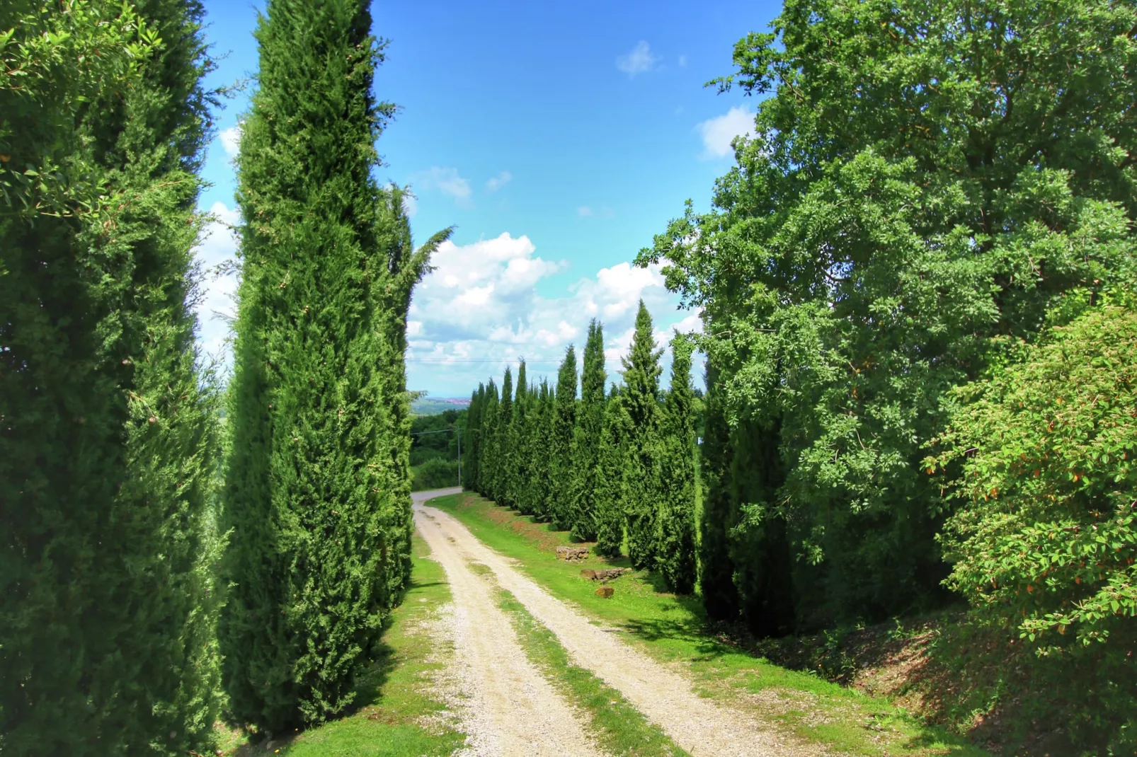Casa Ligustro-Gebieden zomer 1km