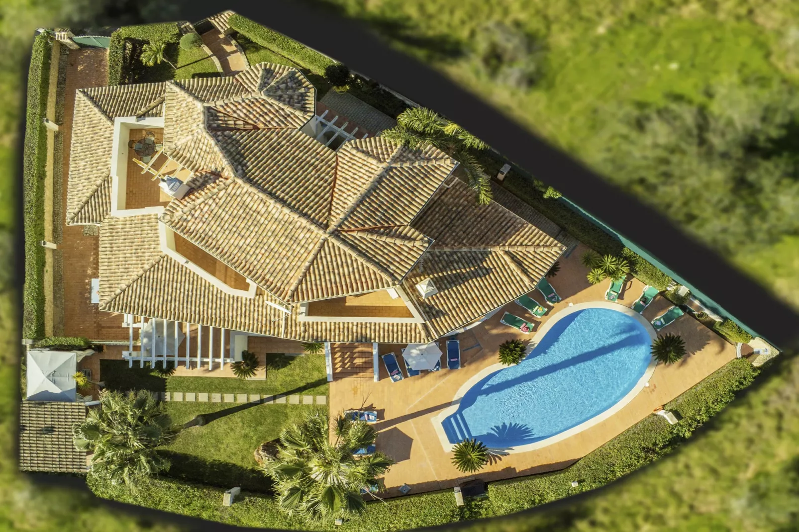 Villa Oliveira-Gebieden zomer 1km