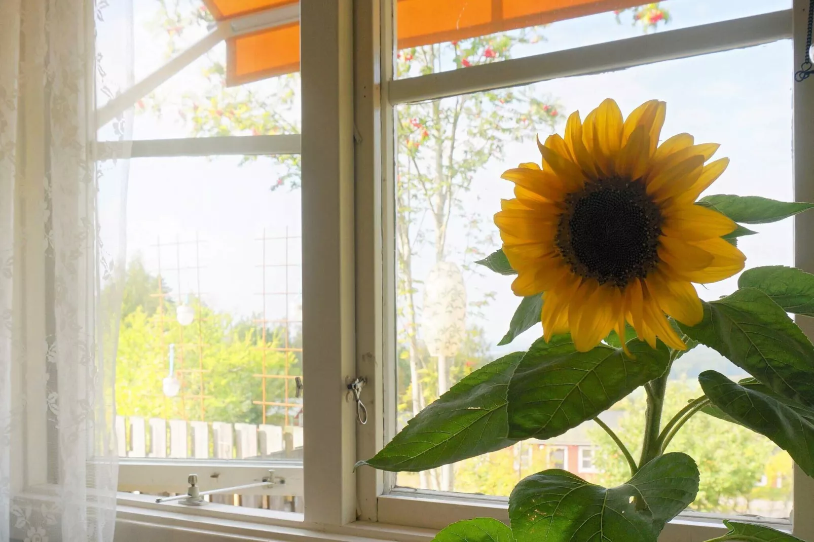 4 persoons vakantie huis in UNDENÄS-By Traum-Binnen