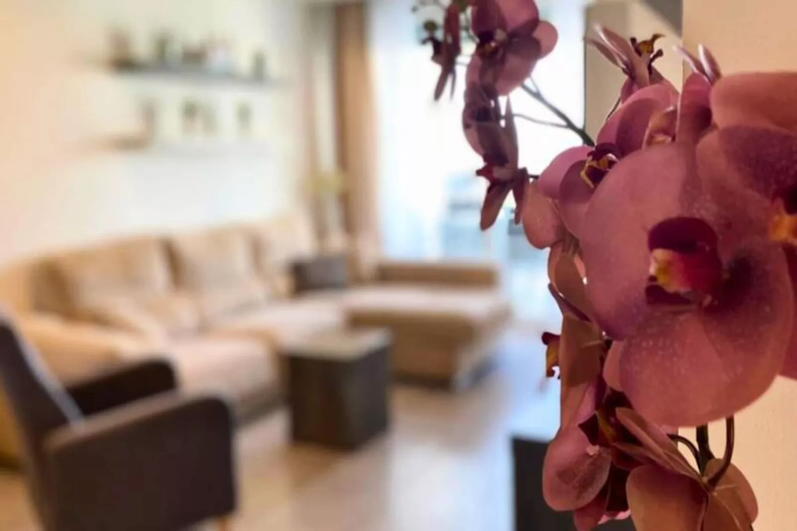 Appartement Moderne Avec Piscine, Terrasse Et Solarium-Image-tags.