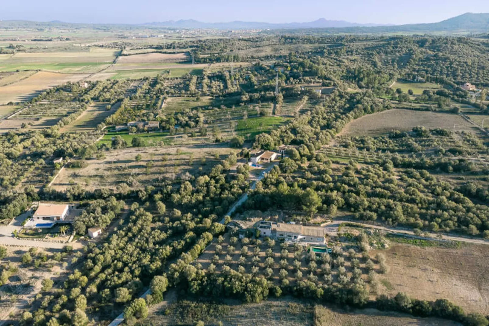 Maison à Sineu-Image-tags.