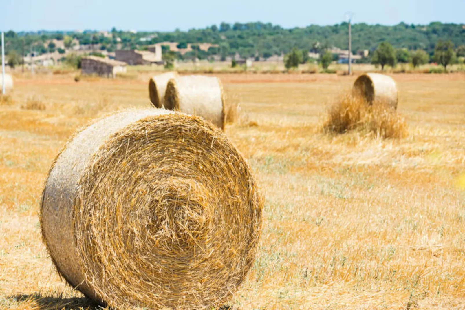 Maison à Sineu-Image-tags.