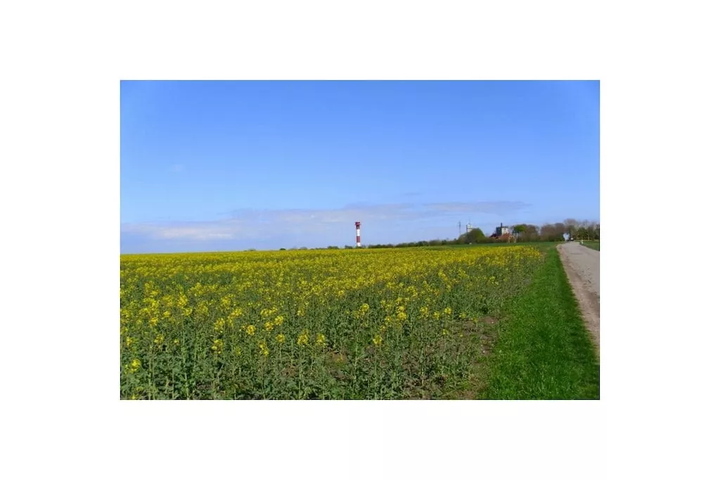 320544-Niet-getagd