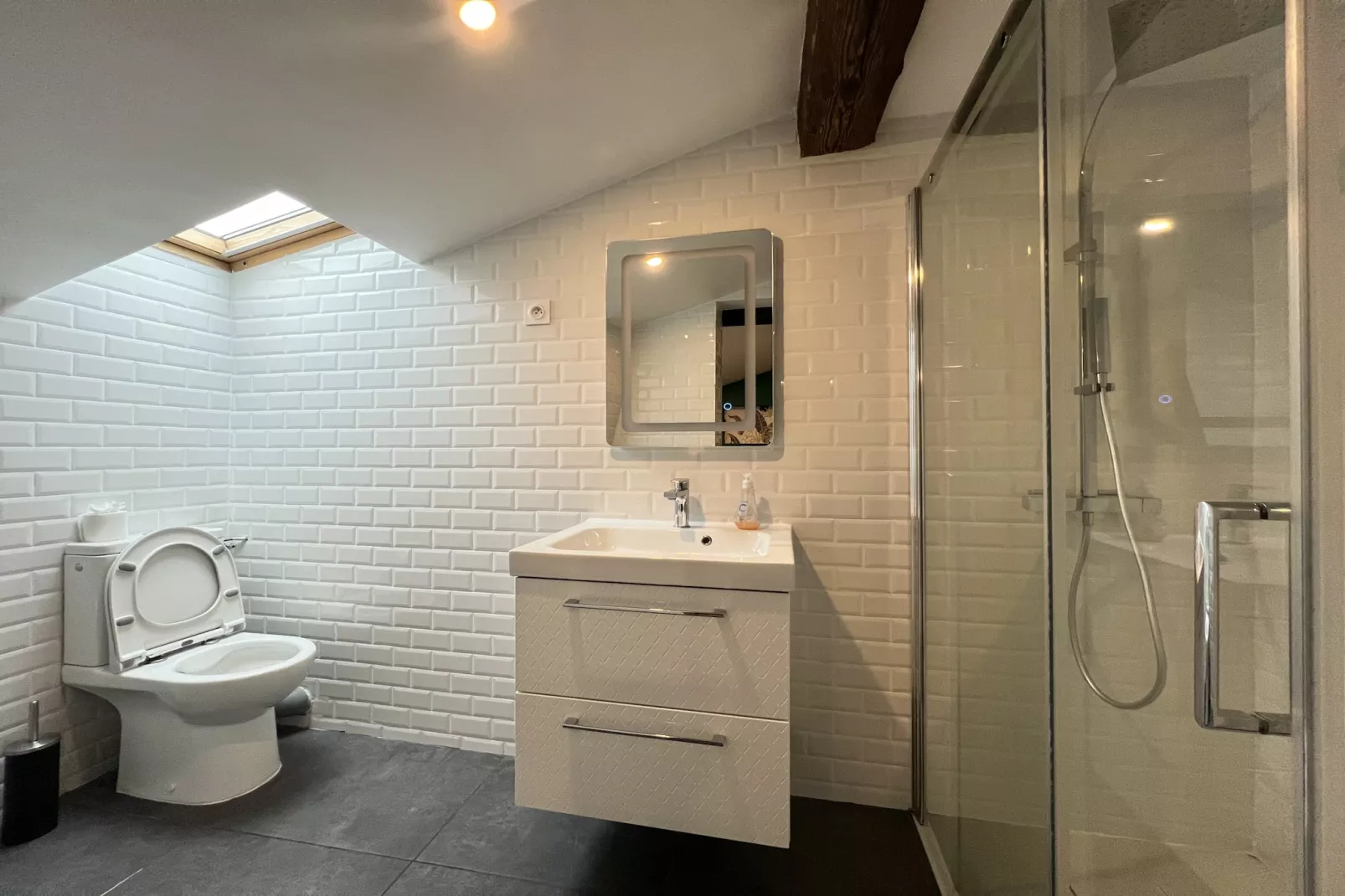 Le Puits-Clos : T2 sous les toits proche Capitole-Badkamer