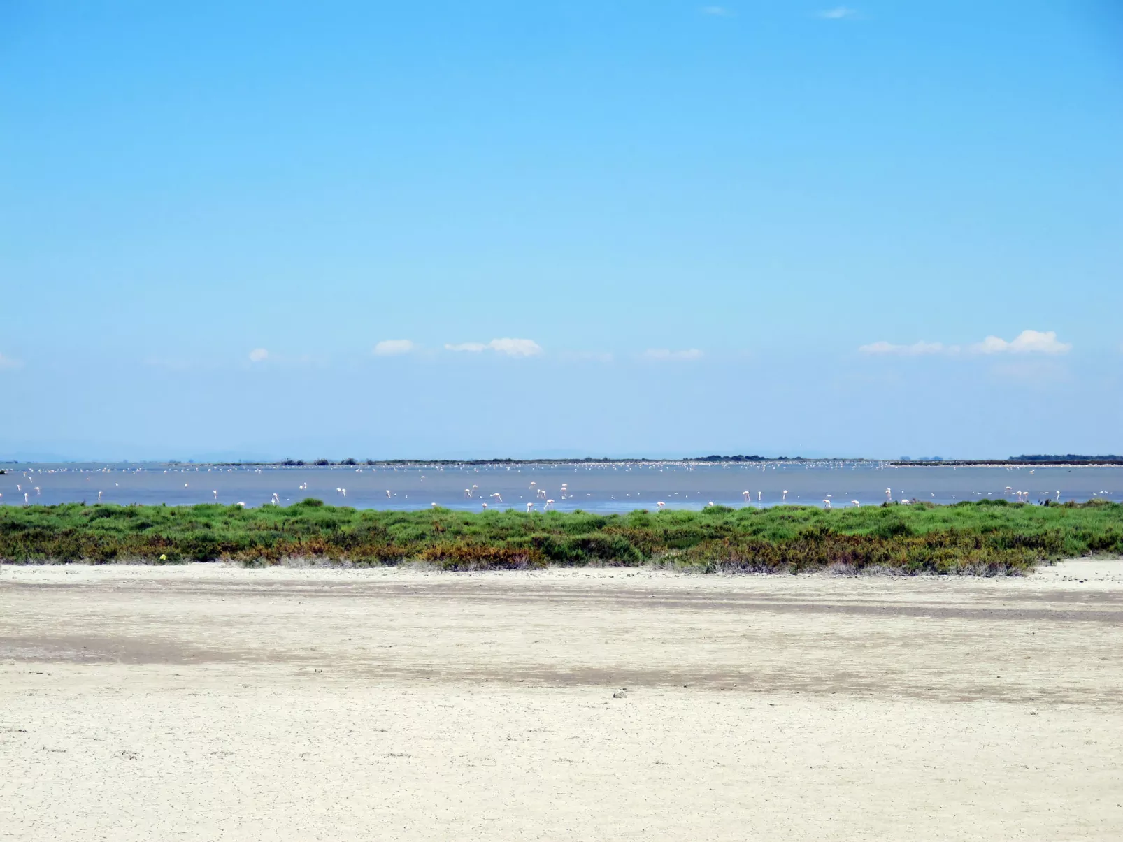 Le Floride-Omgeving