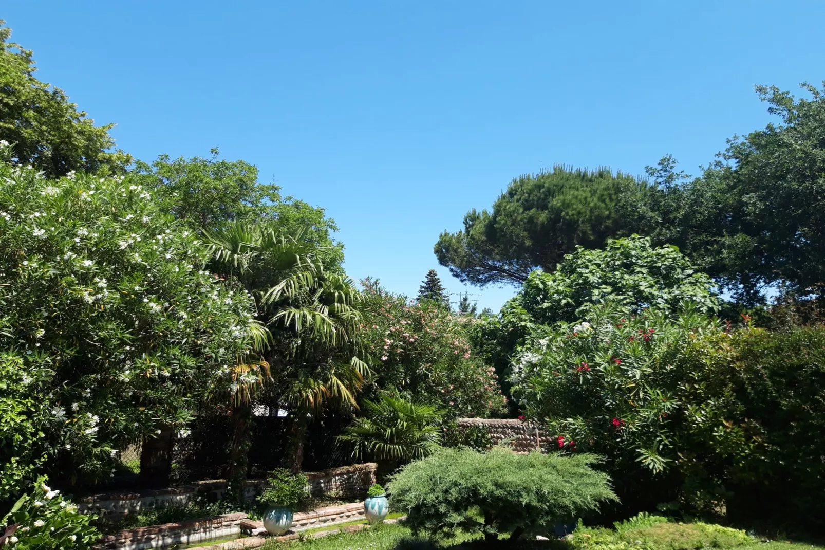 La douceur - 8p - Maison Familiale avec Jardin-Gebieden zomer 1km