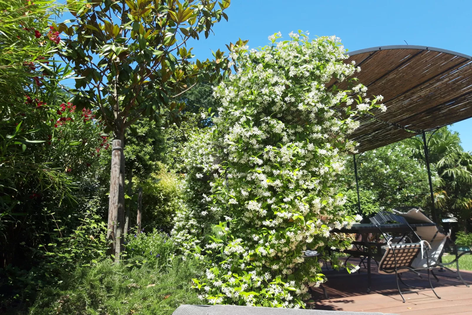 La douceur - 8p - Maison Familiale avec Jardin-Terrasbalkon