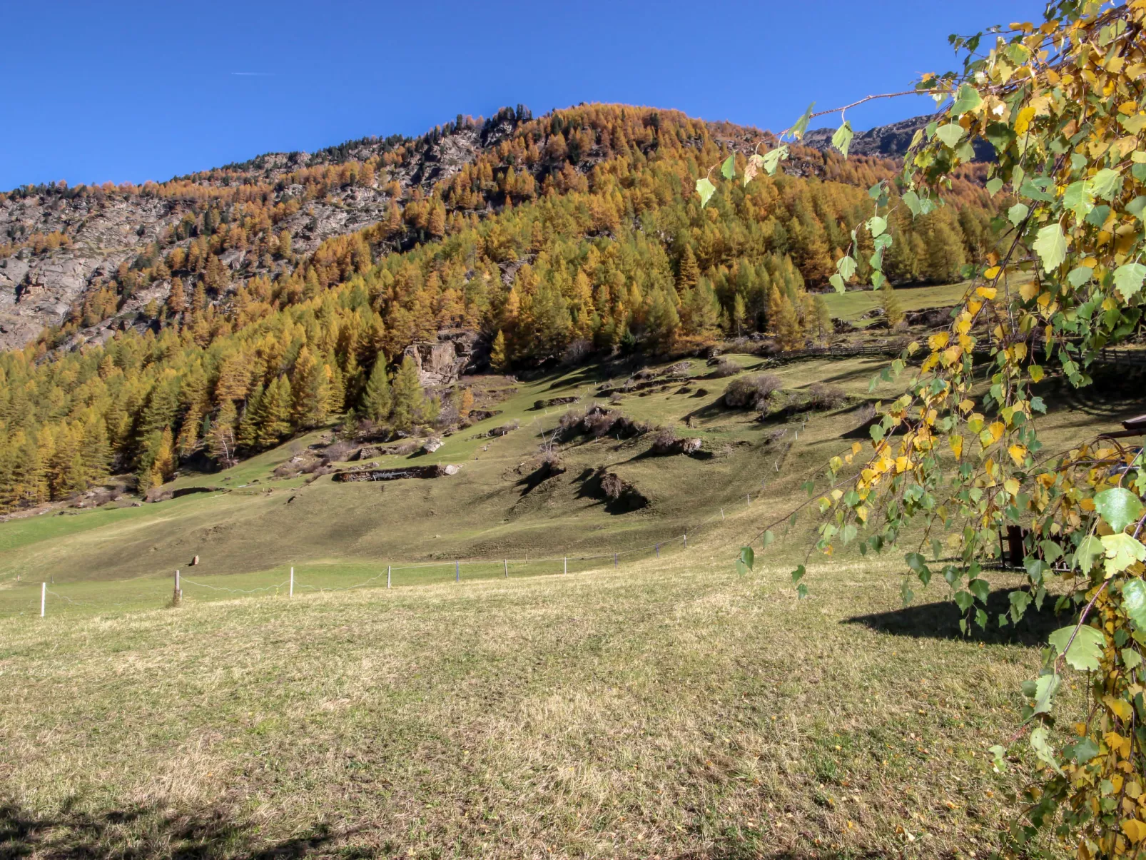 Gamsblick-Buiten