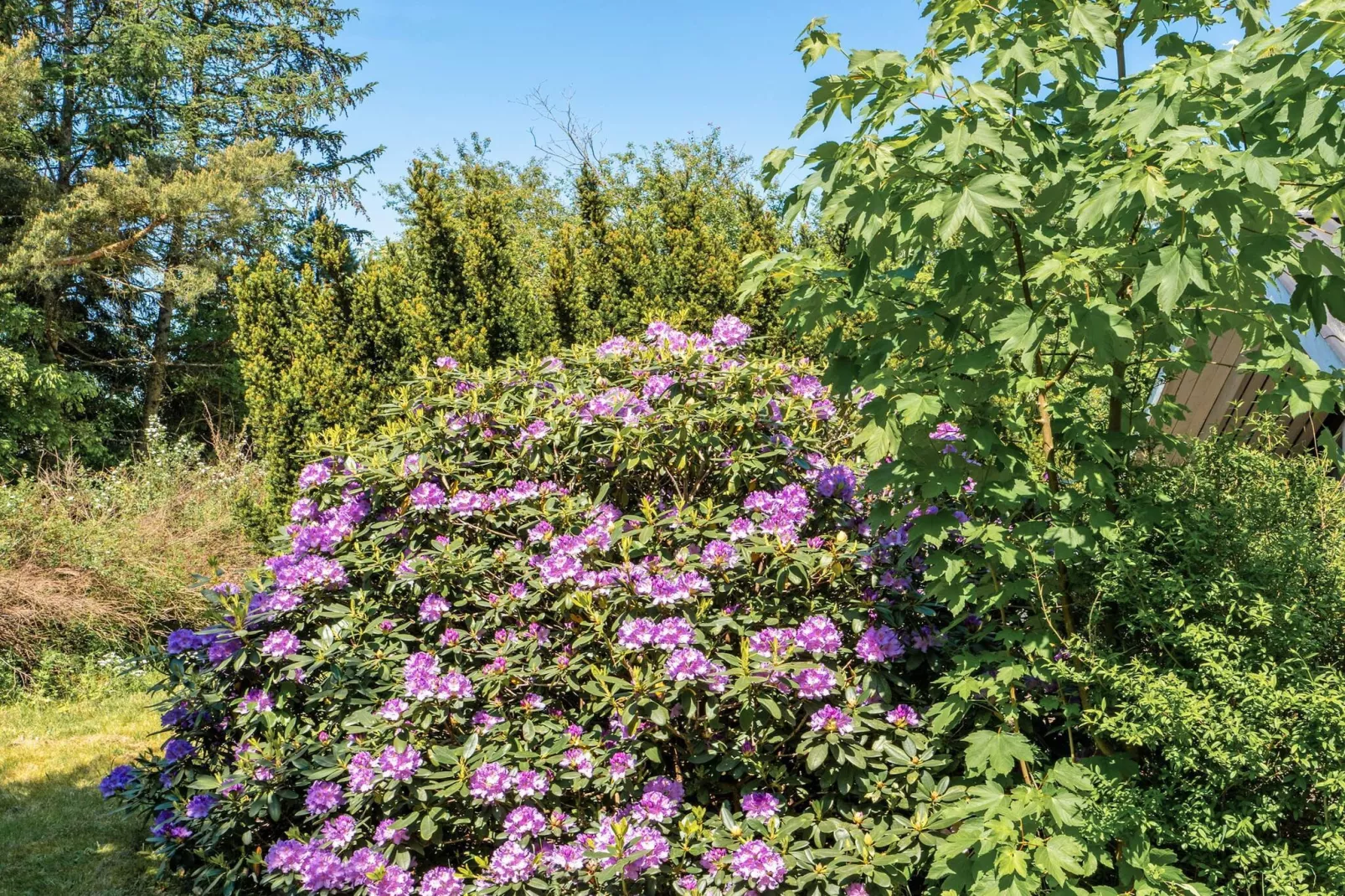 4 persoons vakantie huis in Fårvang-By Traum-Buitenlucht