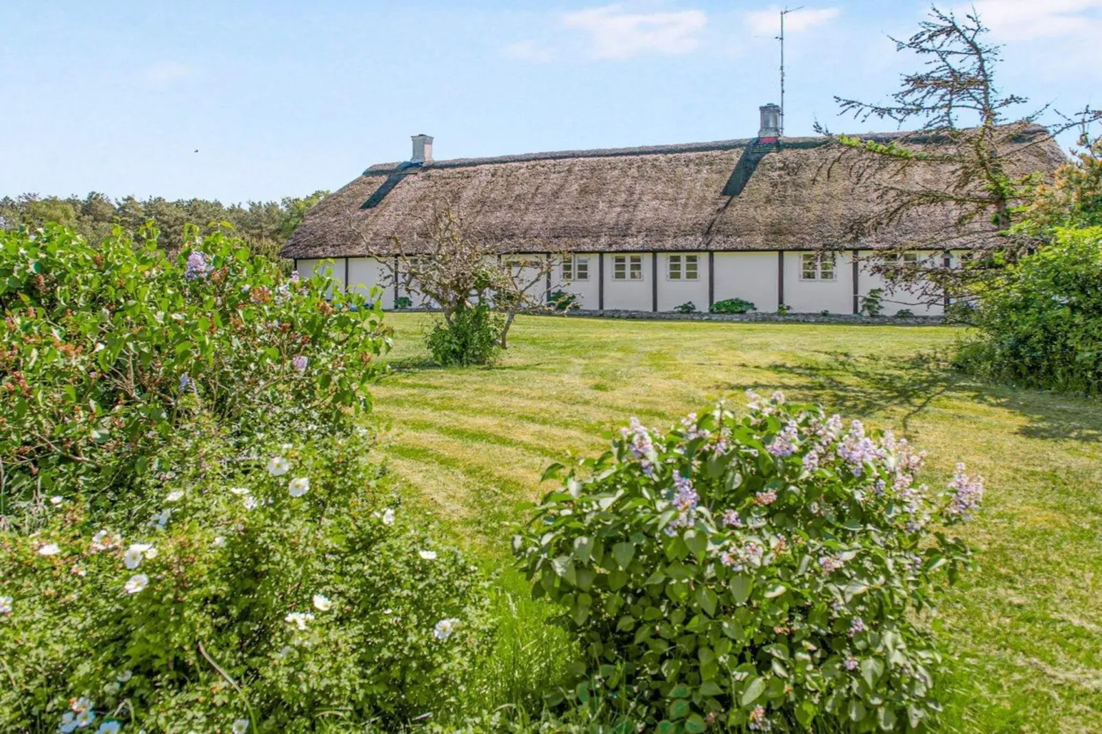 4 sterren vakantie huis in Læsø-Buitenlucht