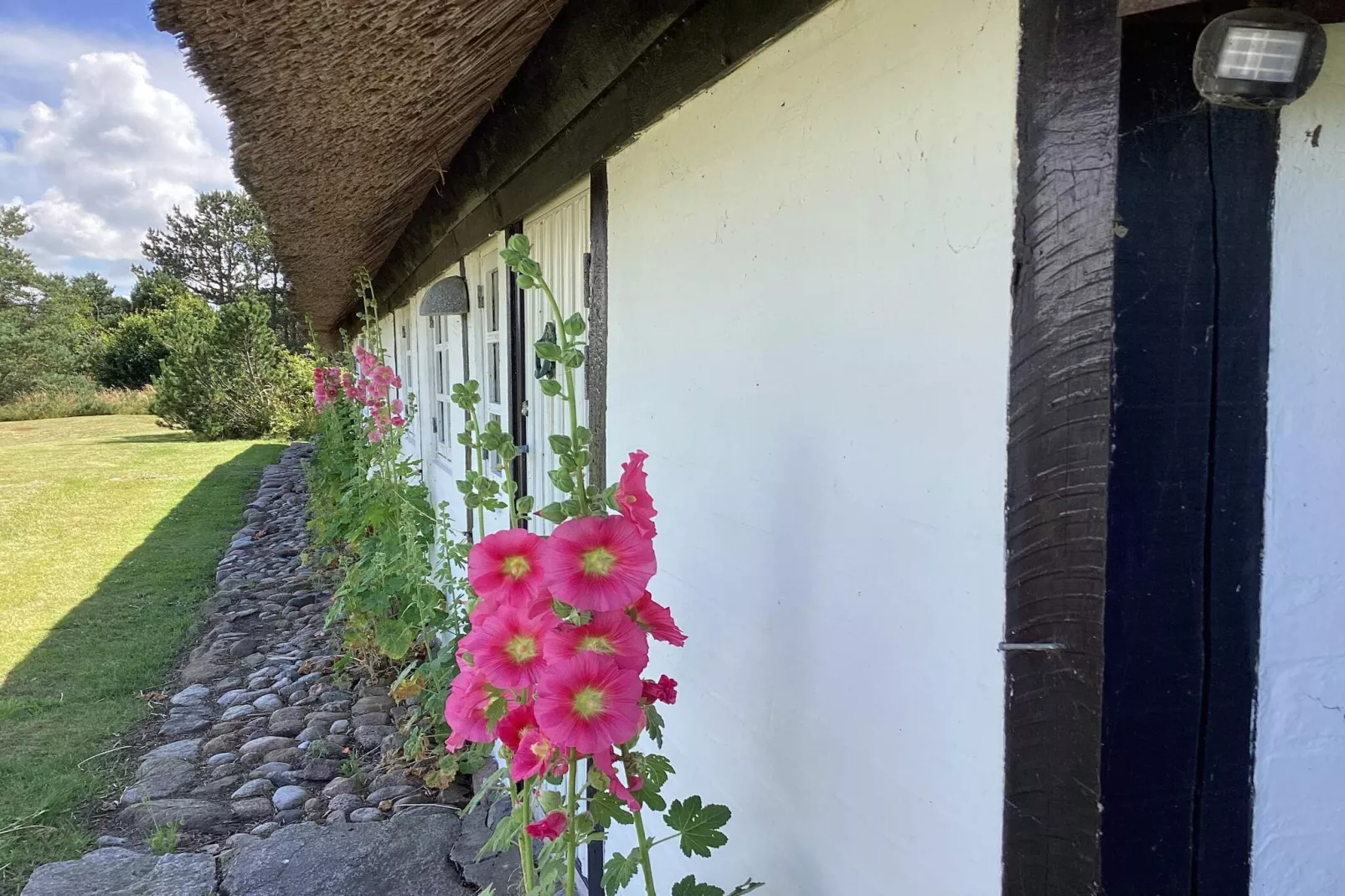 4 sterren vakantie huis in Læsø-Buitenlucht