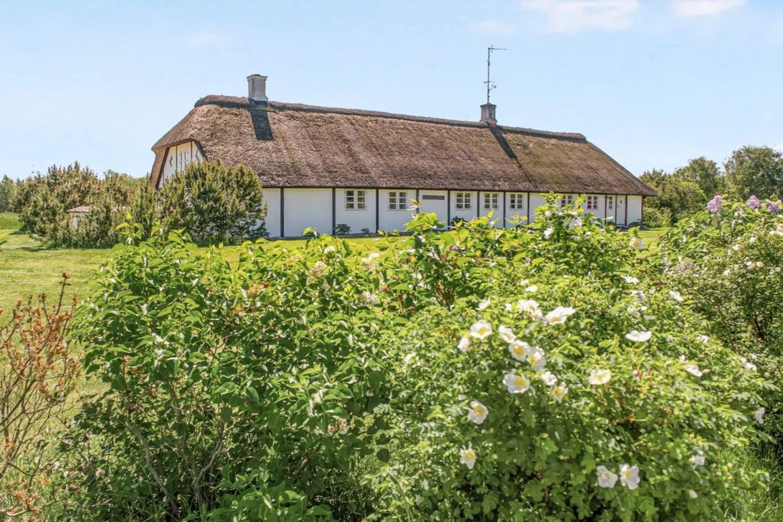 4 sterren vakantie huis in Læsø-Buitenlucht
