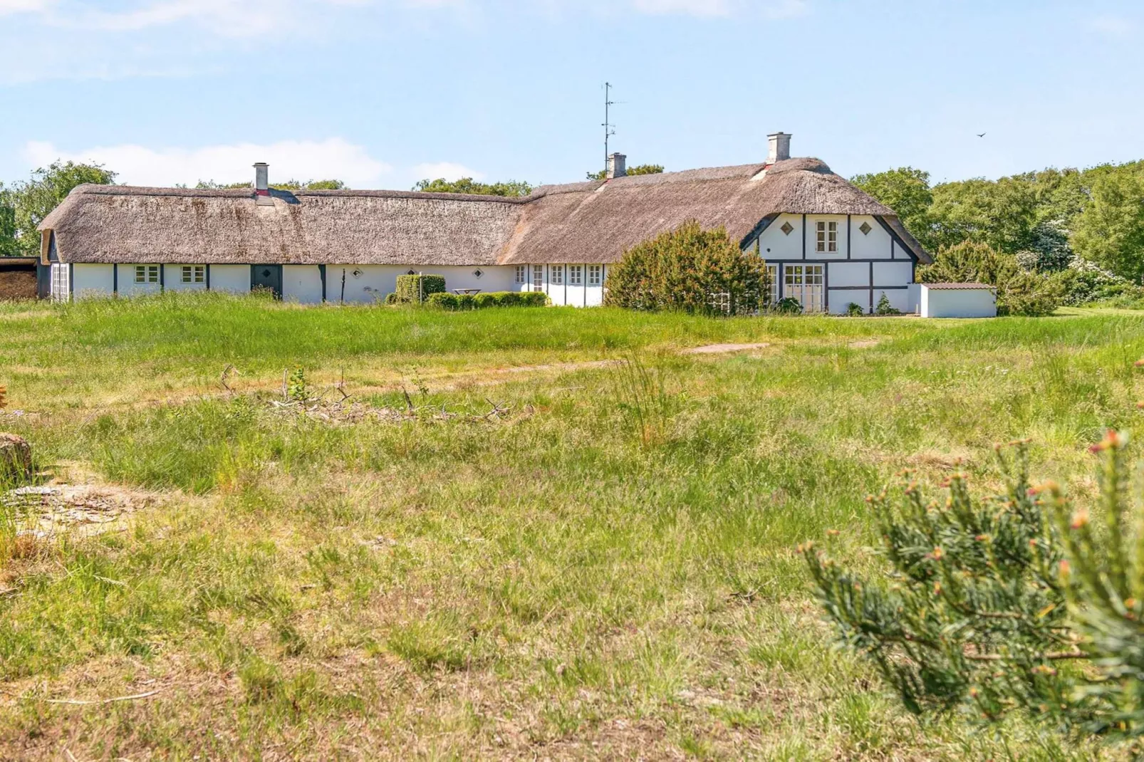 4 sterren vakantie huis in Læsø-Buitenlucht