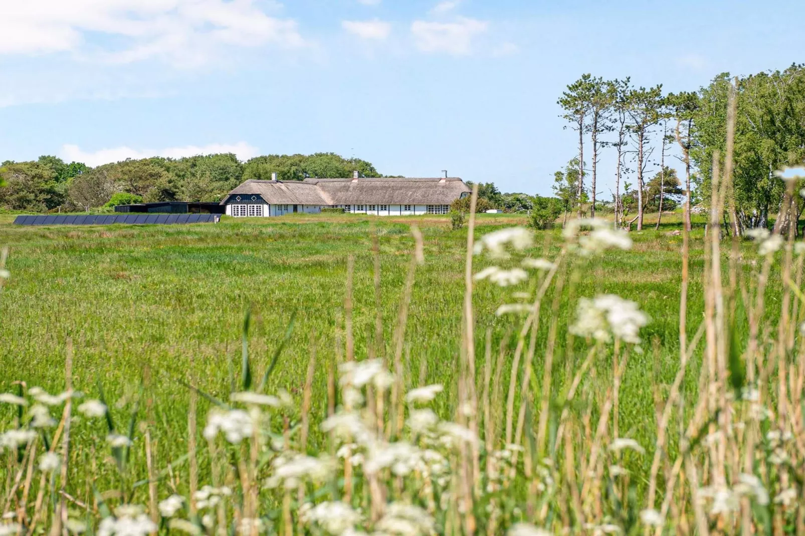 4 sterren vakantie huis in Læsø-Buitenlucht