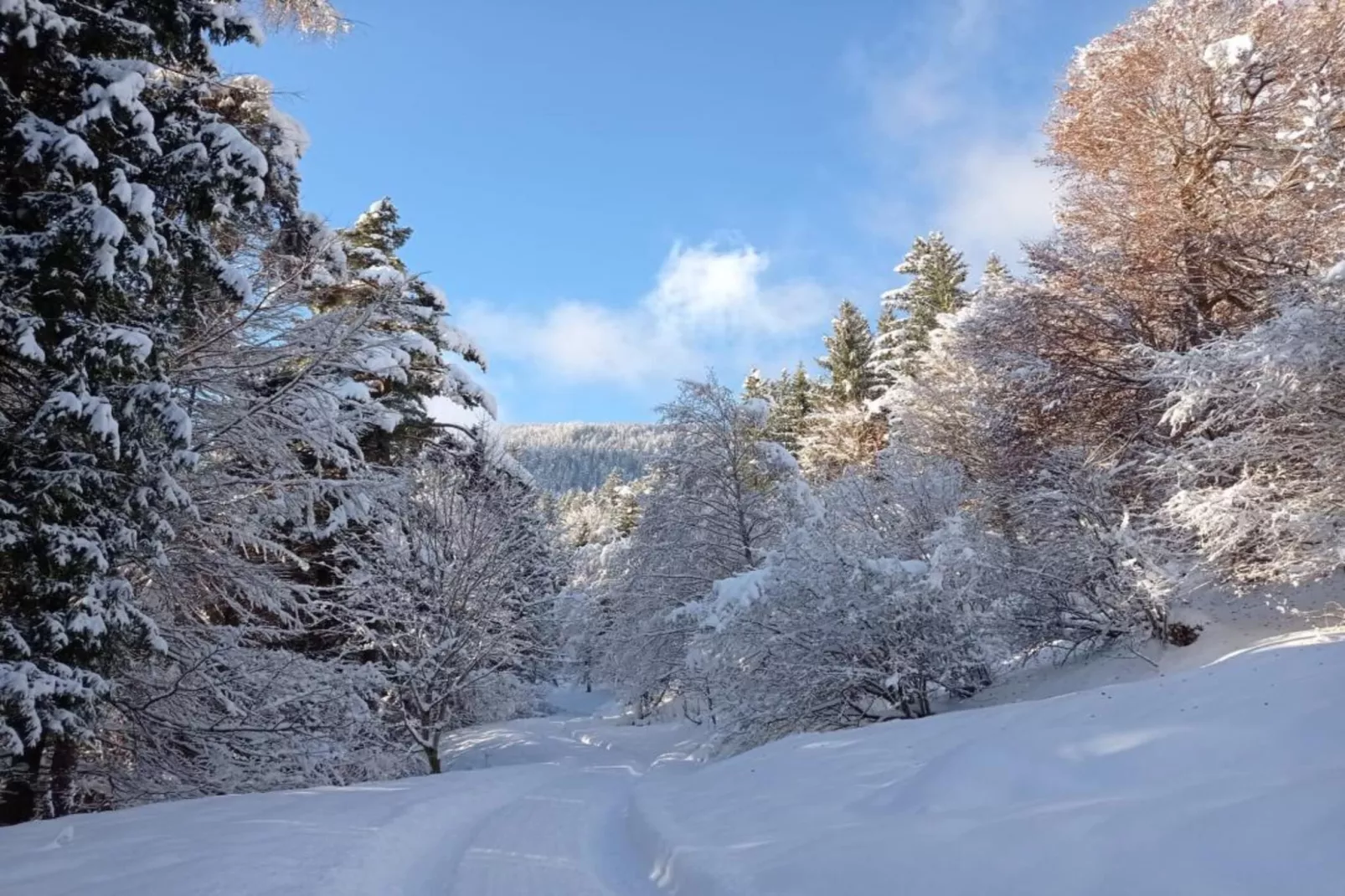 Roßweid Huette-Gebied winter 1km