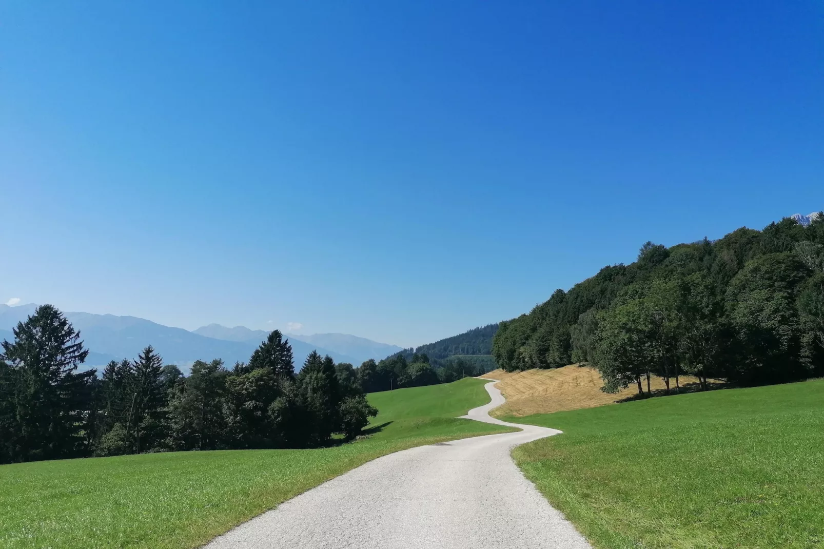 Roßweid Huette-Gebieden zomer 5km