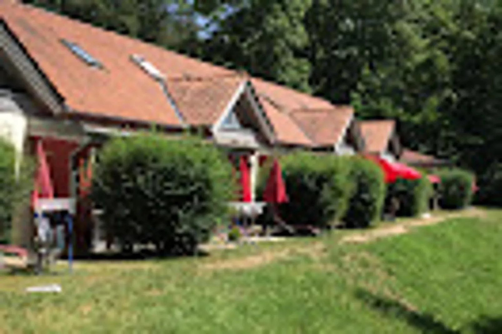 FH Wildgans Comfort Nr 169-Buitenkant zomer