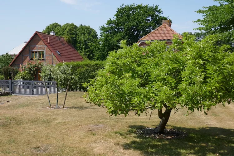 FH Sturmfrei-Tuinen zomer