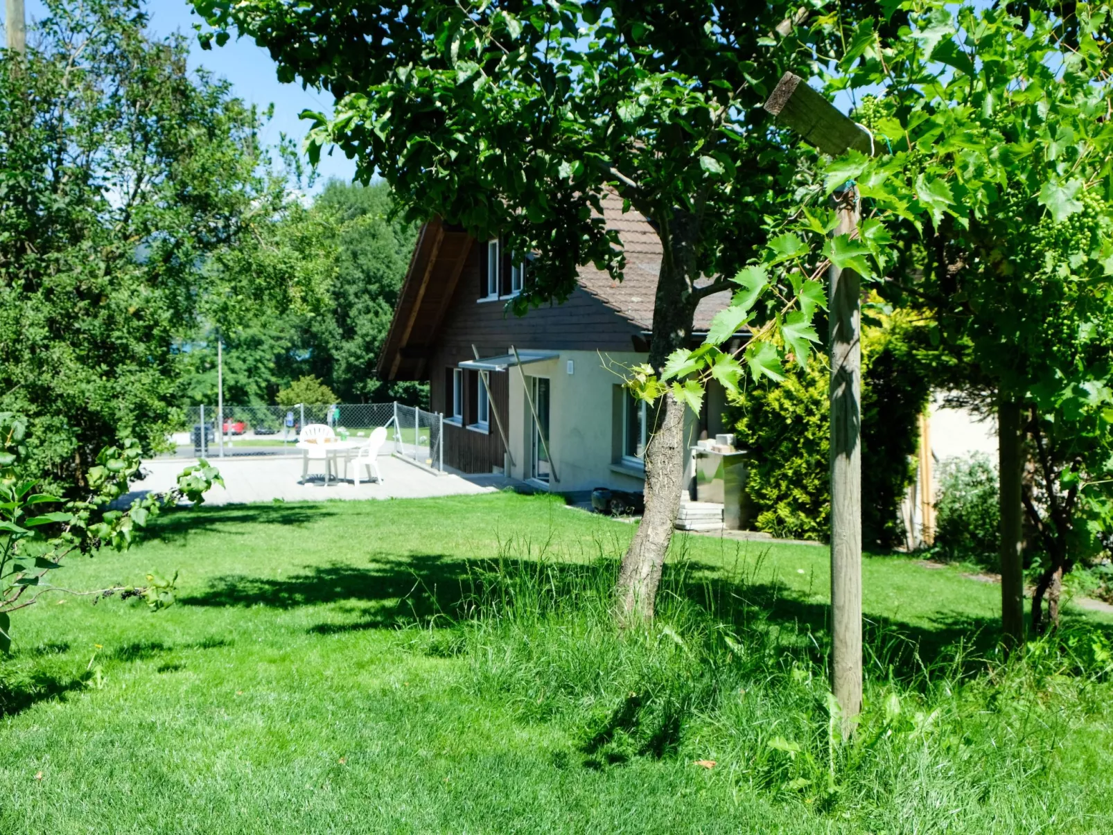 Hauswurz-Buiten