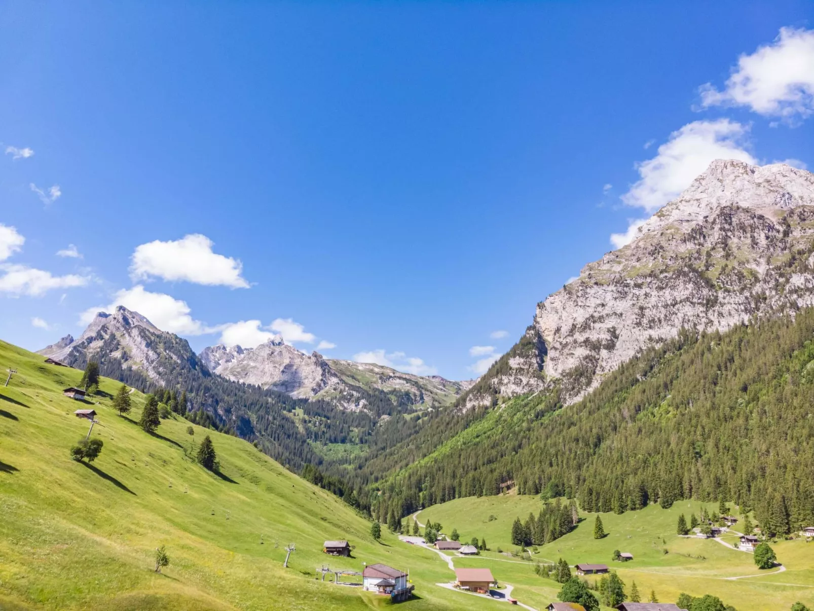 Berg Herz Grimmialp (Schwenden)-Buiten