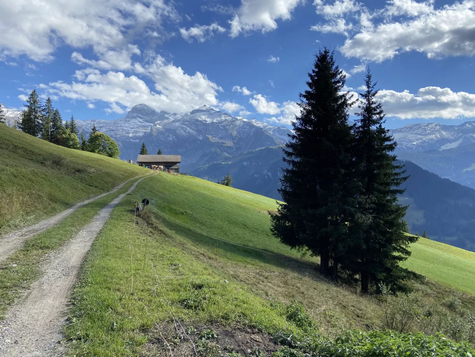 Chalet Weitblick-Buiten