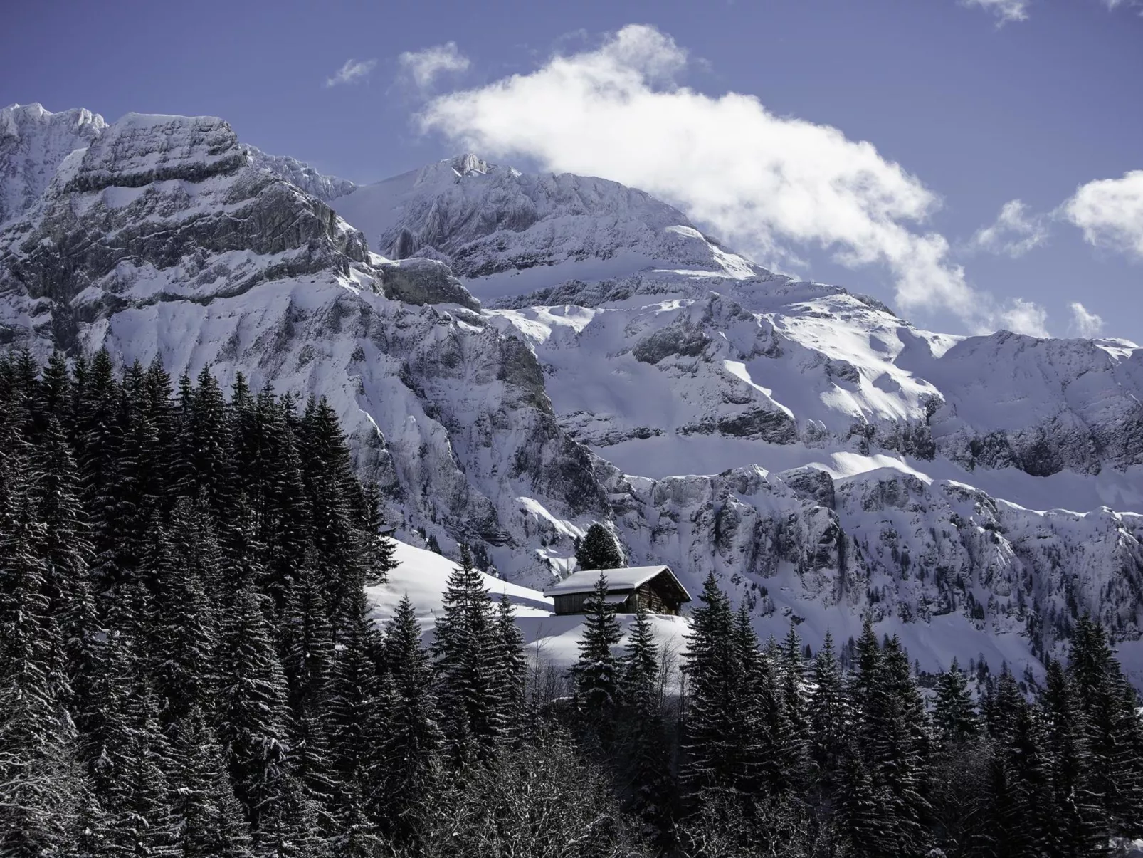 Chalet Weitblick-Buiten