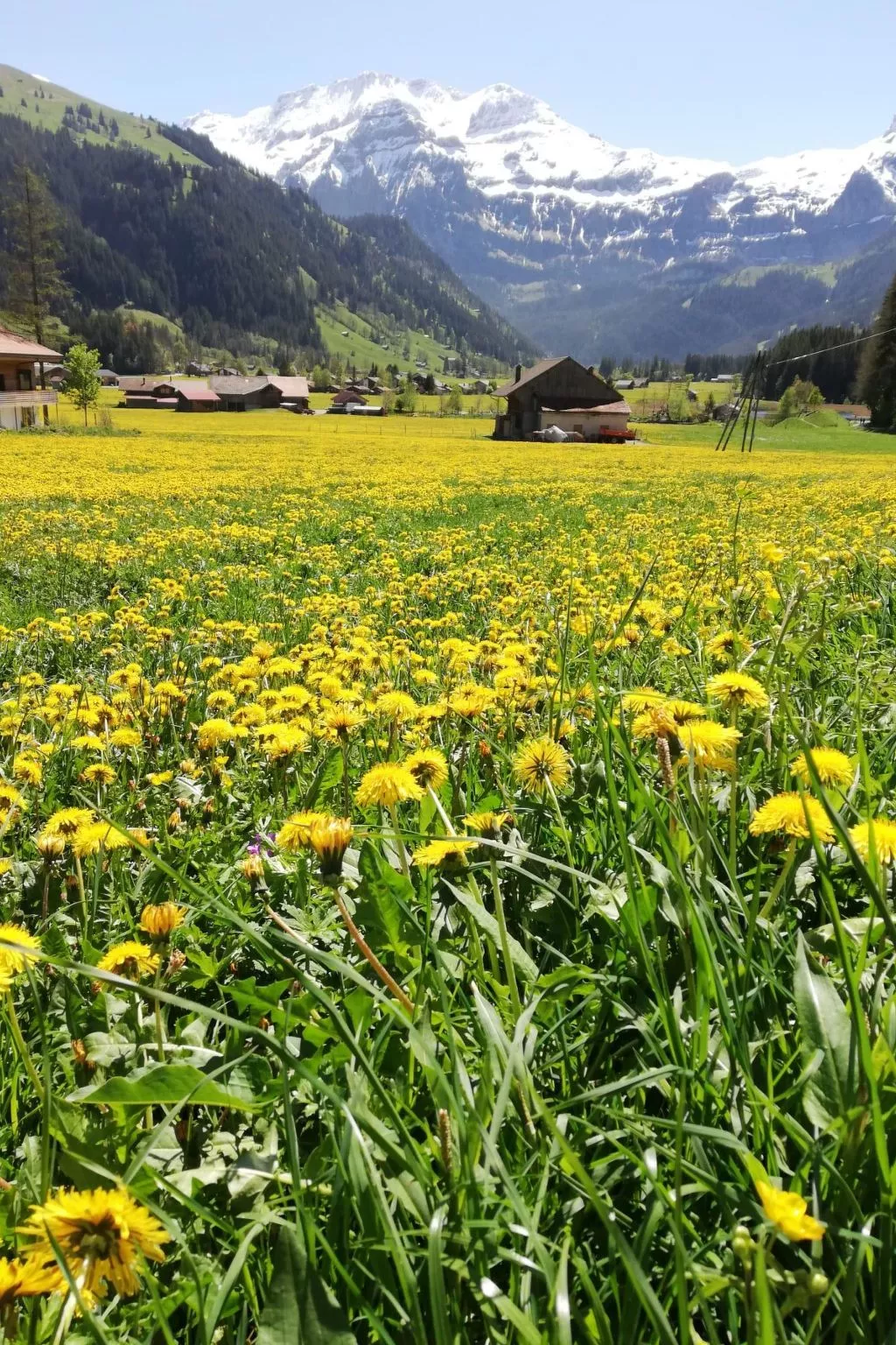 Kari's Schüür-Buiten