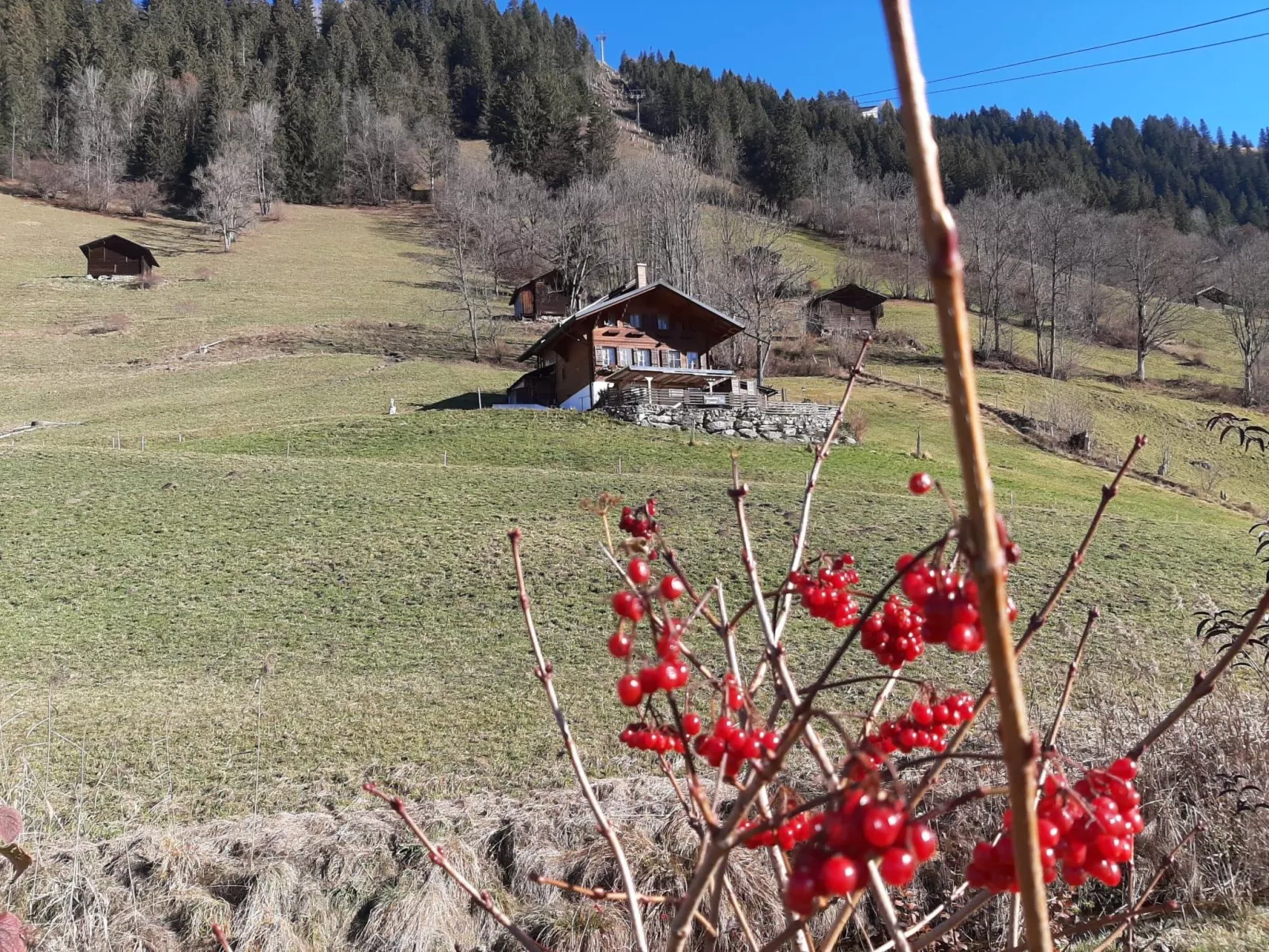 Kari's Schüür-Buiten