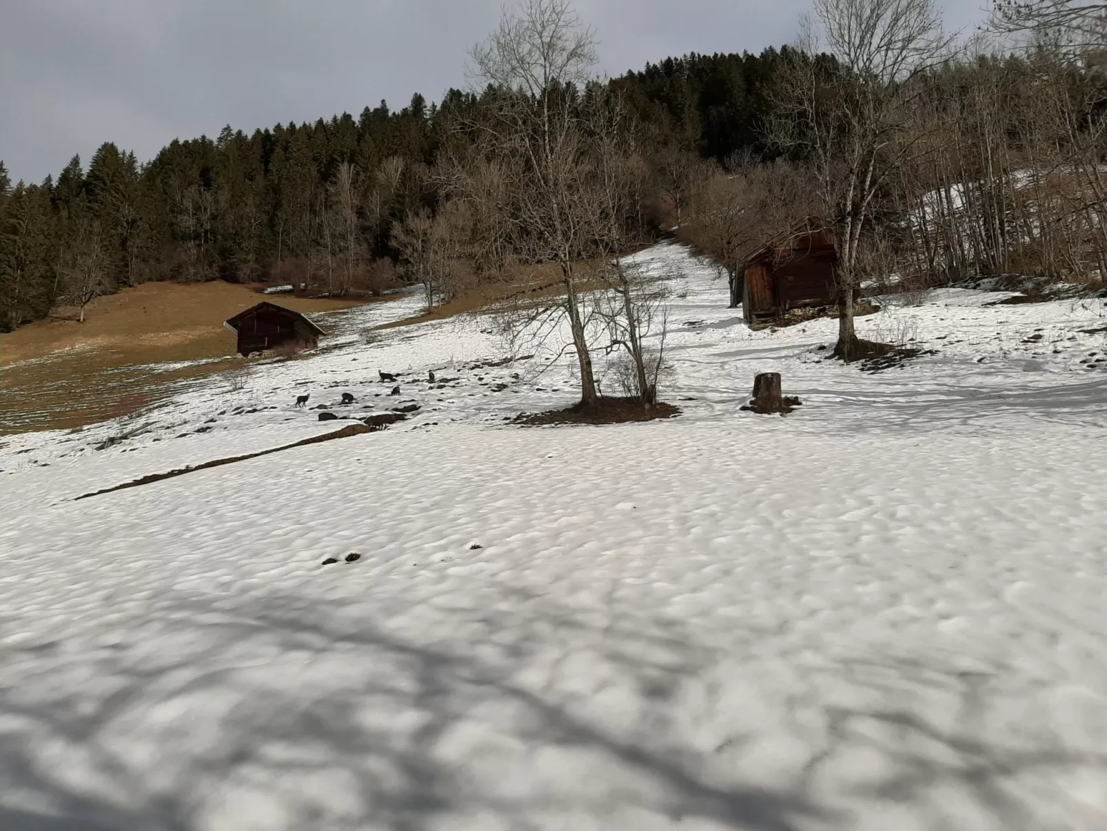 Kari's Schüür-Buiten