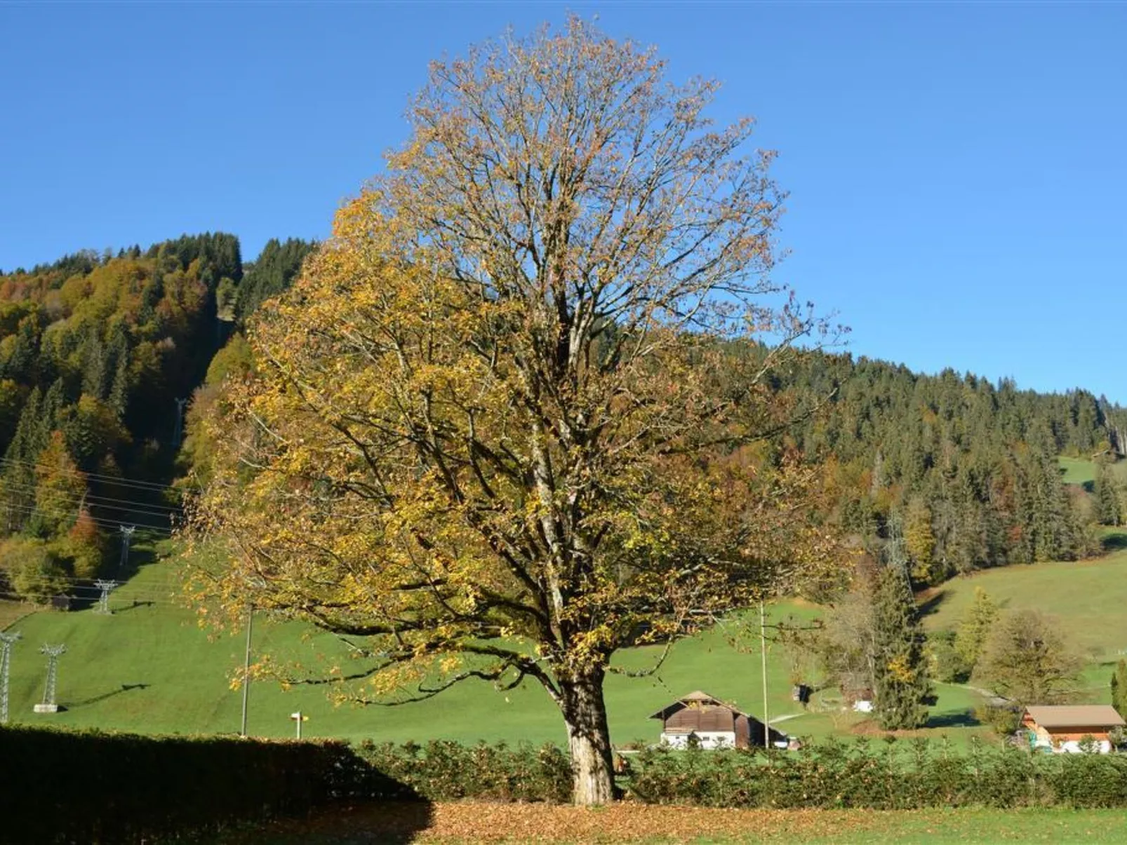 Oberland Nr. 19-Buiten