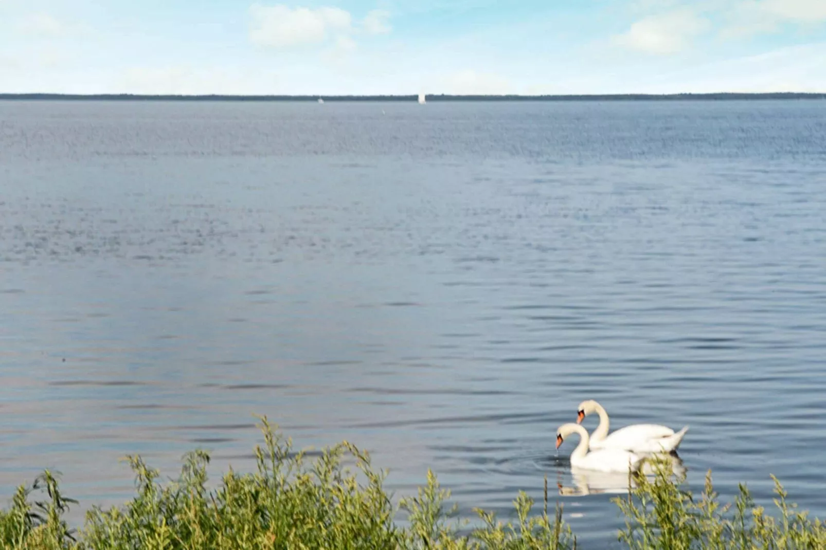 10 persoons vakantie huis in Mörbylånga-By Traum-Waterzicht