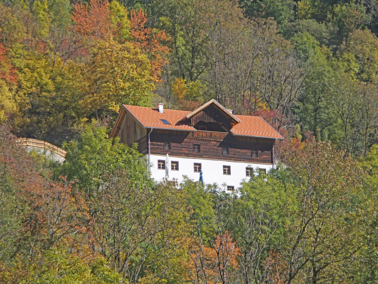 David am Buchhammerhof-Buiten