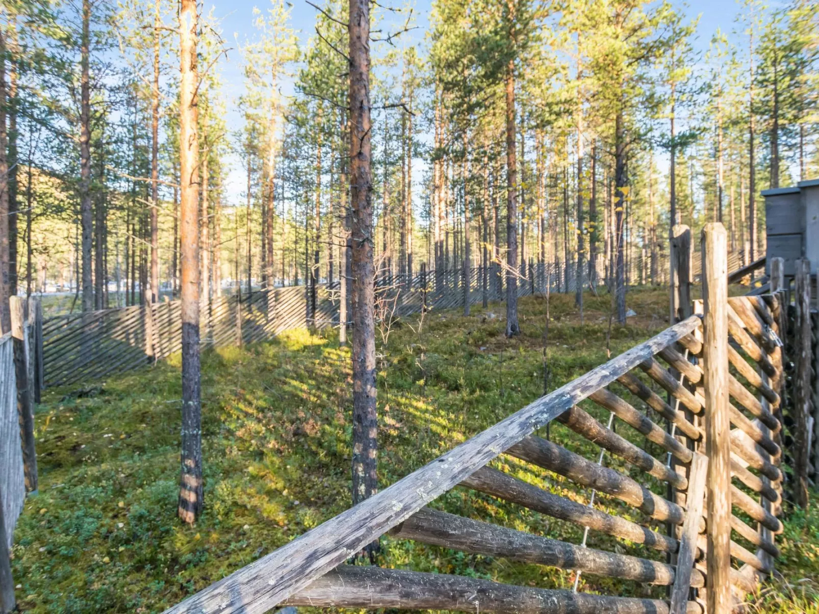 Otso-Buiten