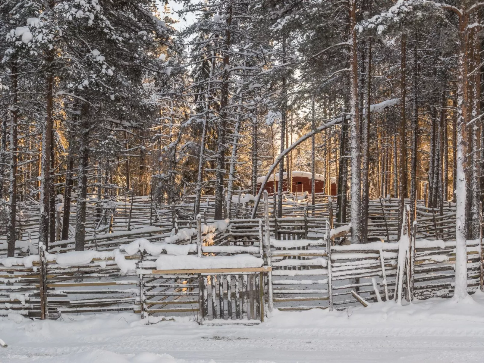 Puljunharju-Buiten