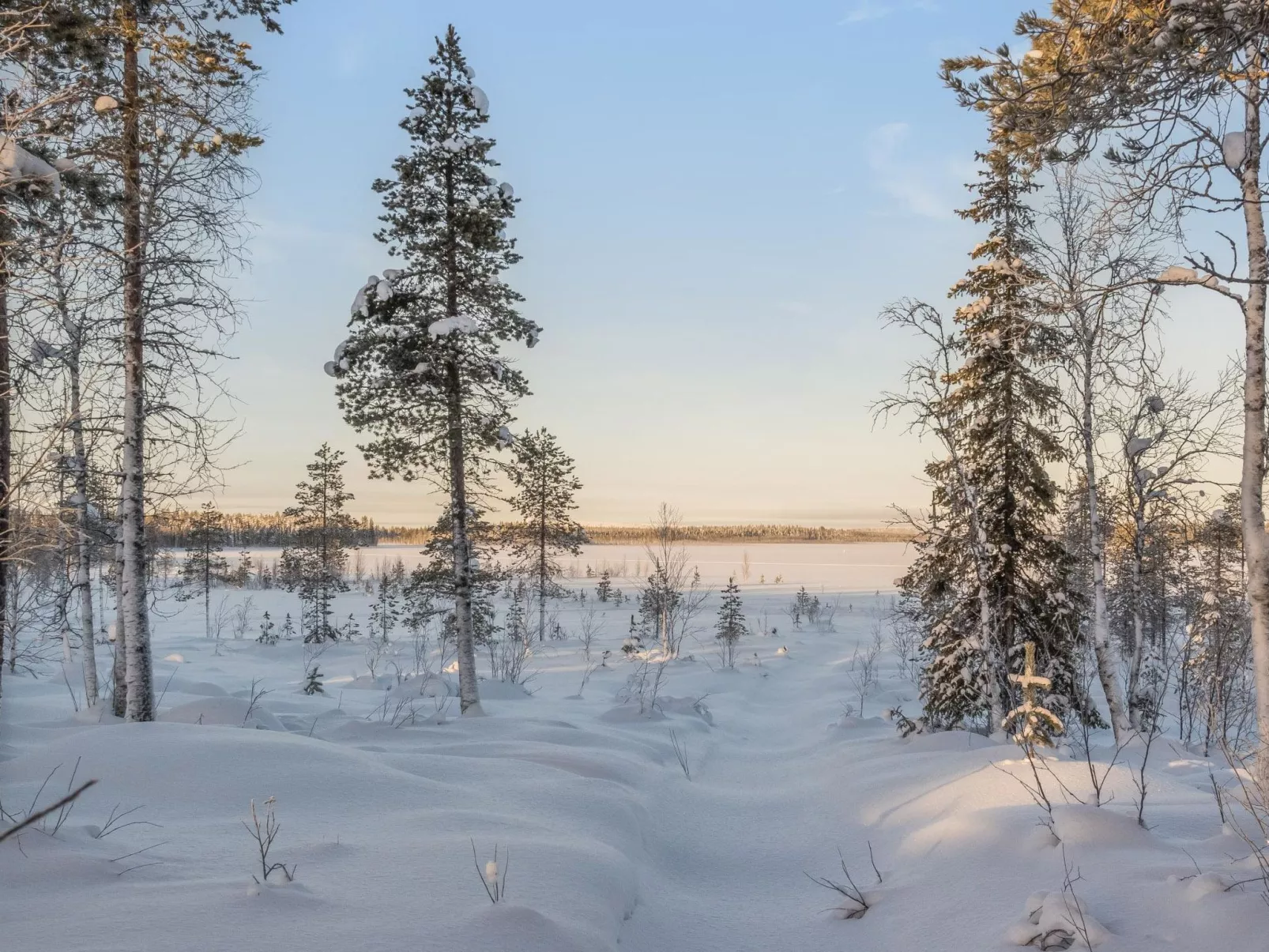 Puljunharju-Buiten