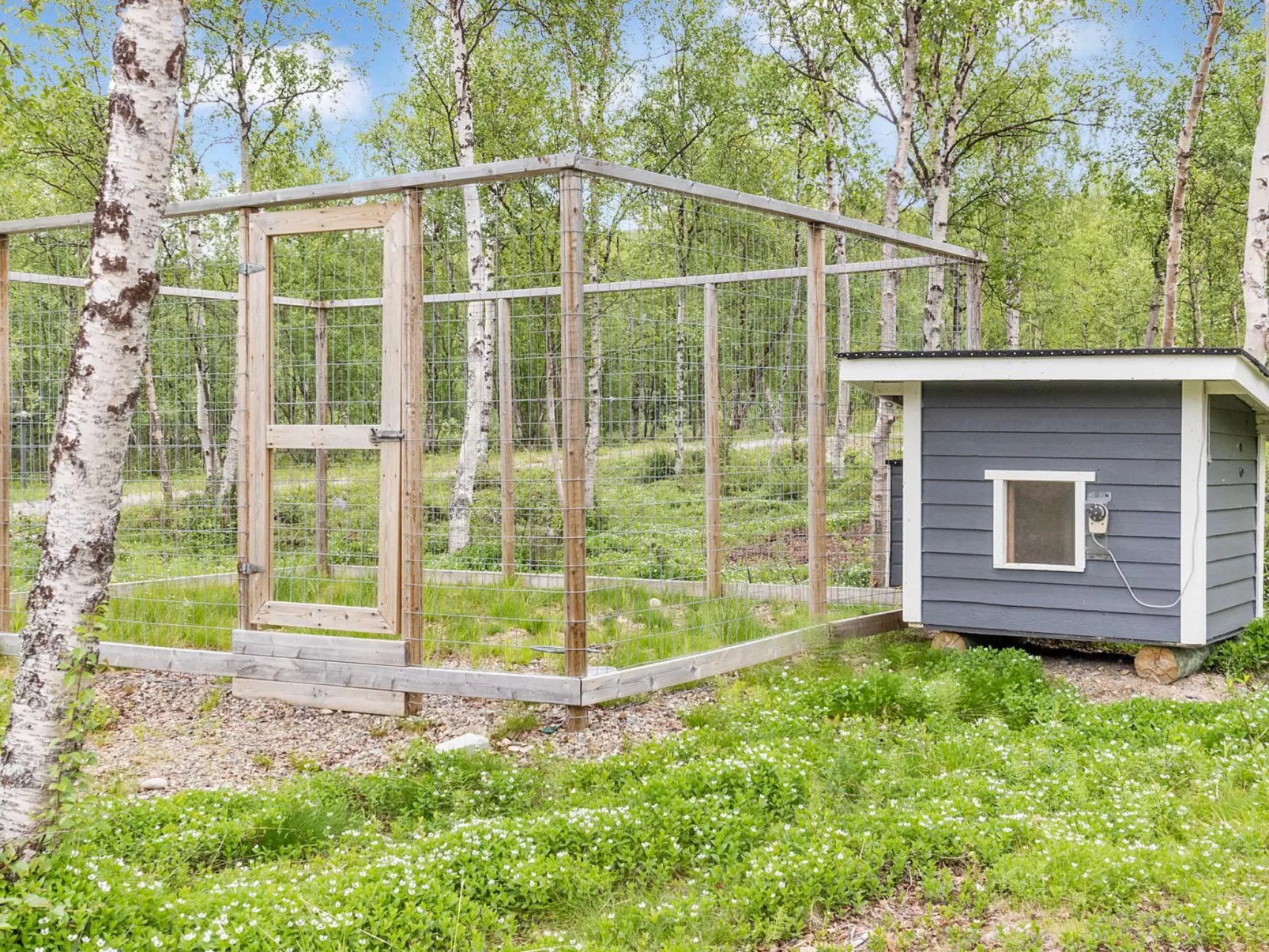 Mökki tenolla-Buiten