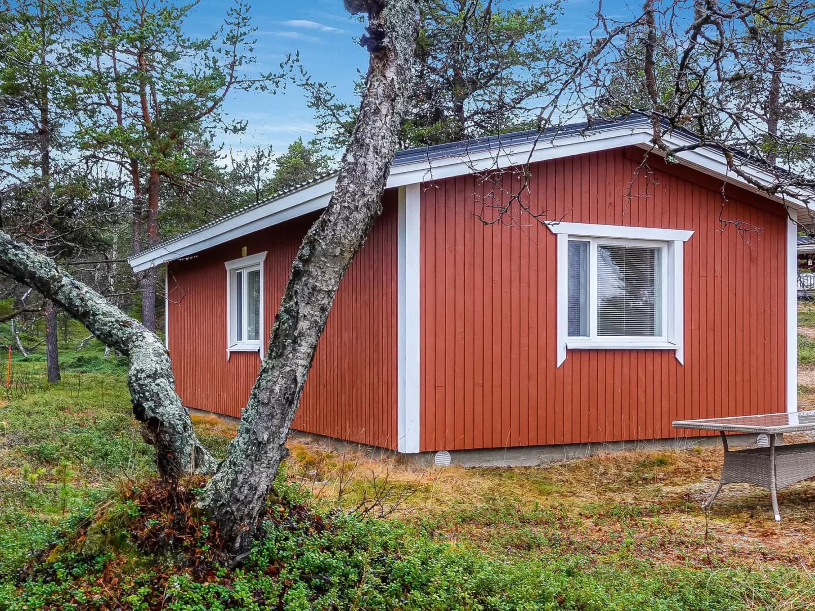 Mellaniemi-Buiten