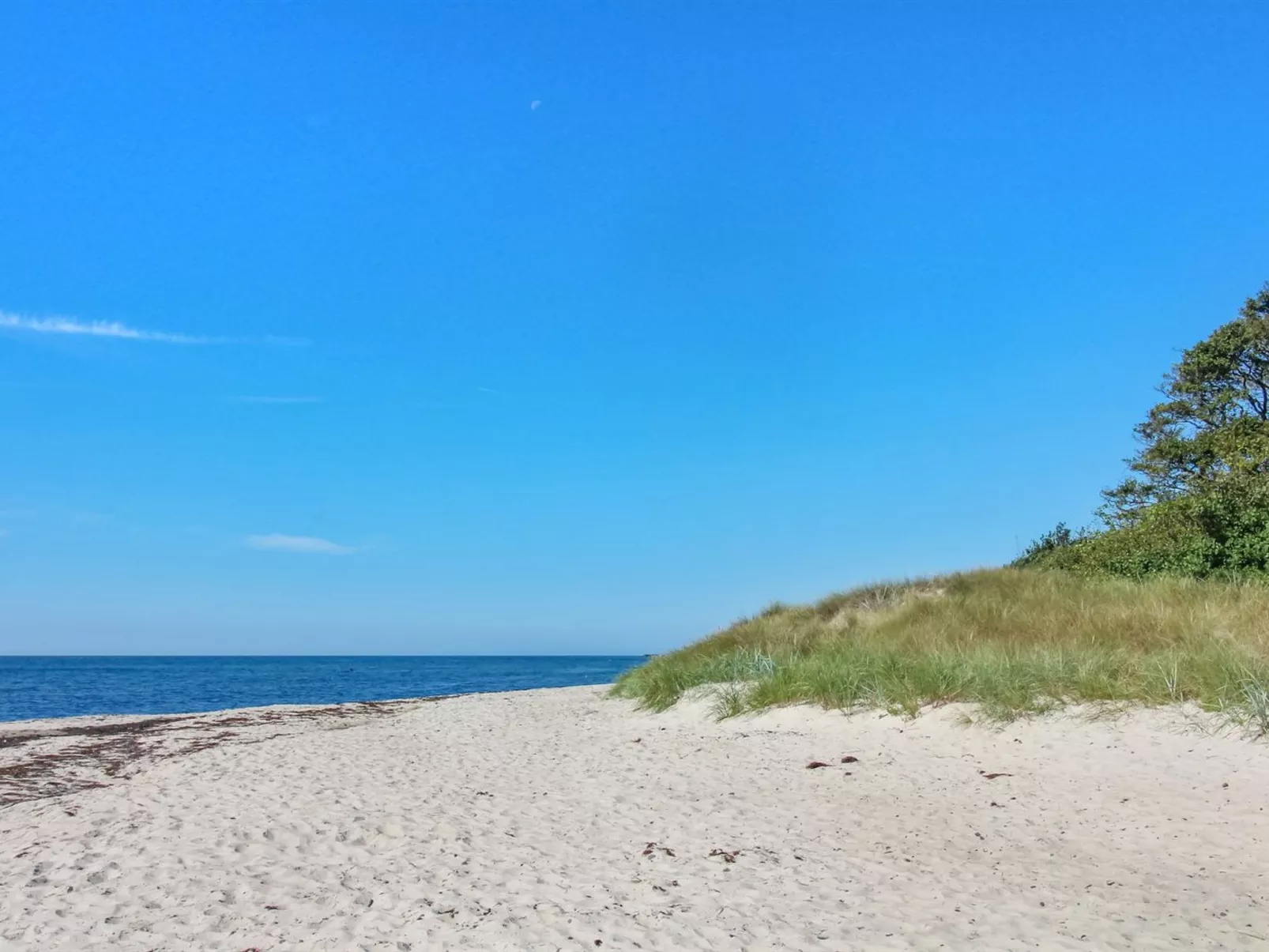 "Pisana" - 300m from the sea-Buiten