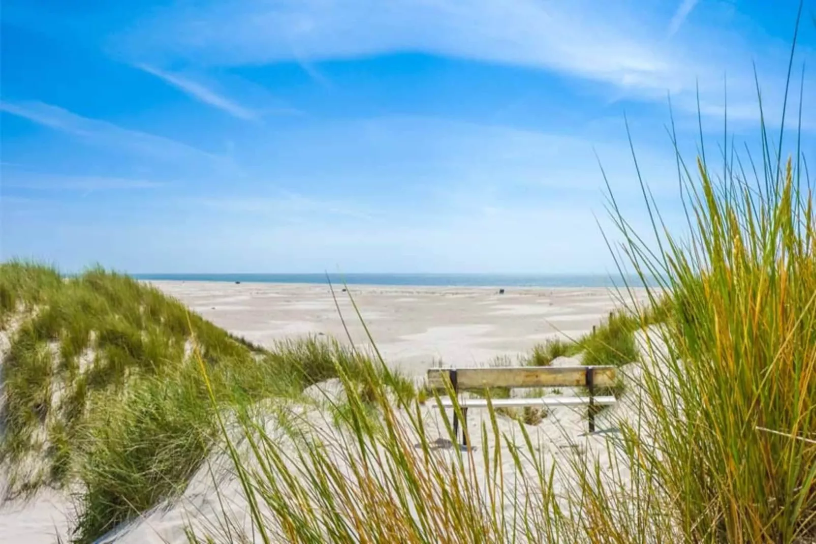 6 persoons vakantie huis in Blokhus-By Traum-Uitzicht
