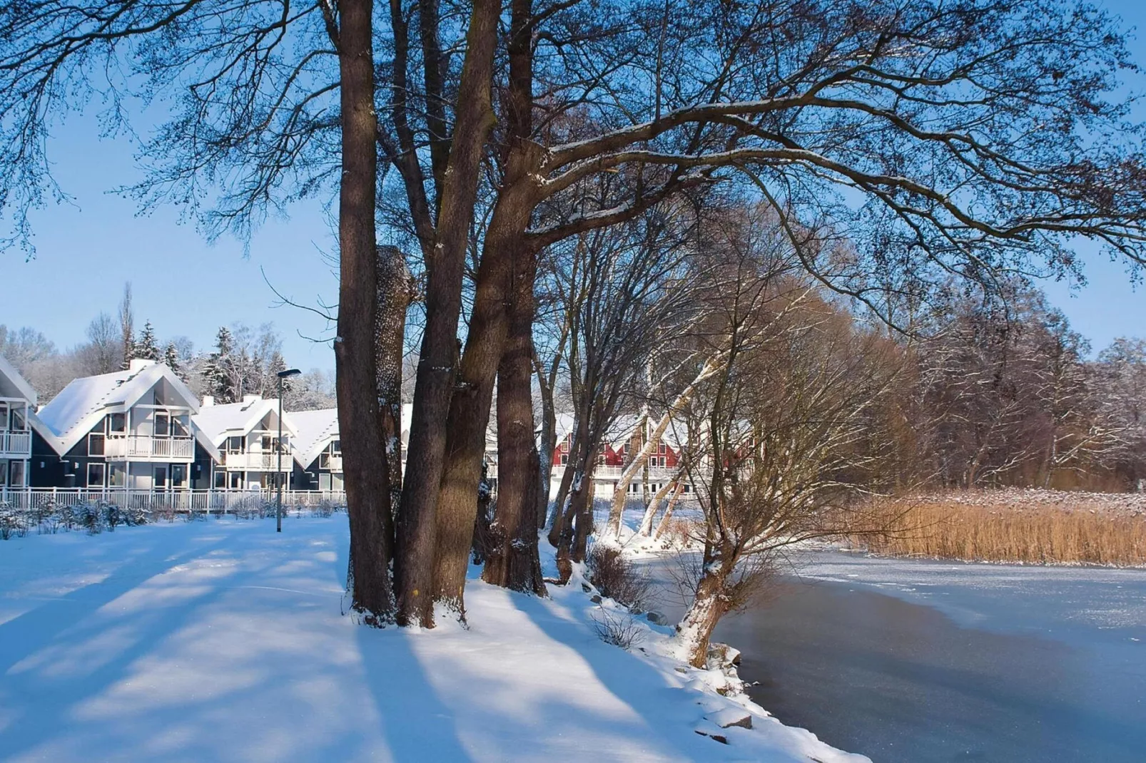 Ferienhaus Fünen im Schlosspark-Gebied winter 1km