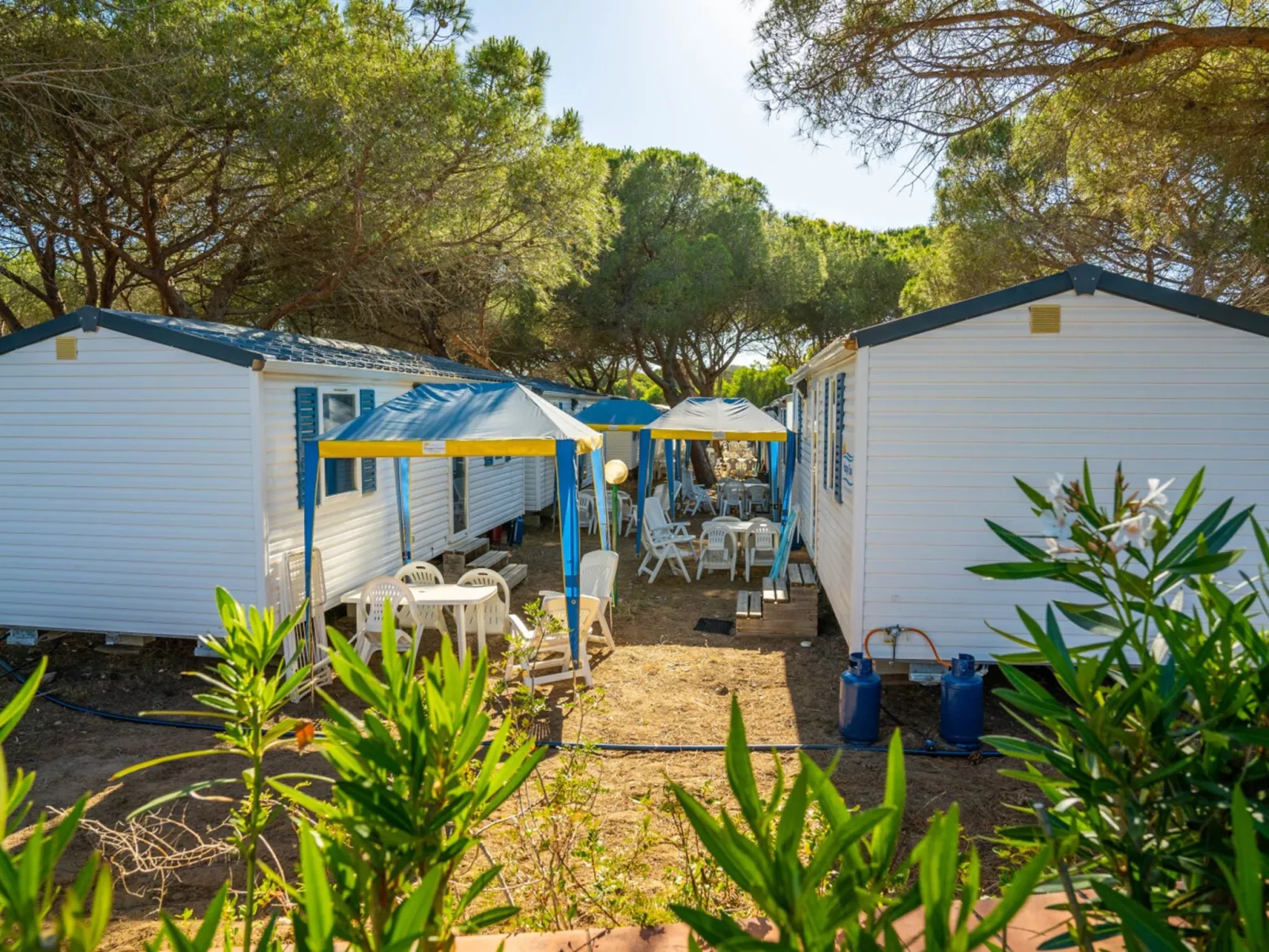 Camping Baia Paradiso-Buiten