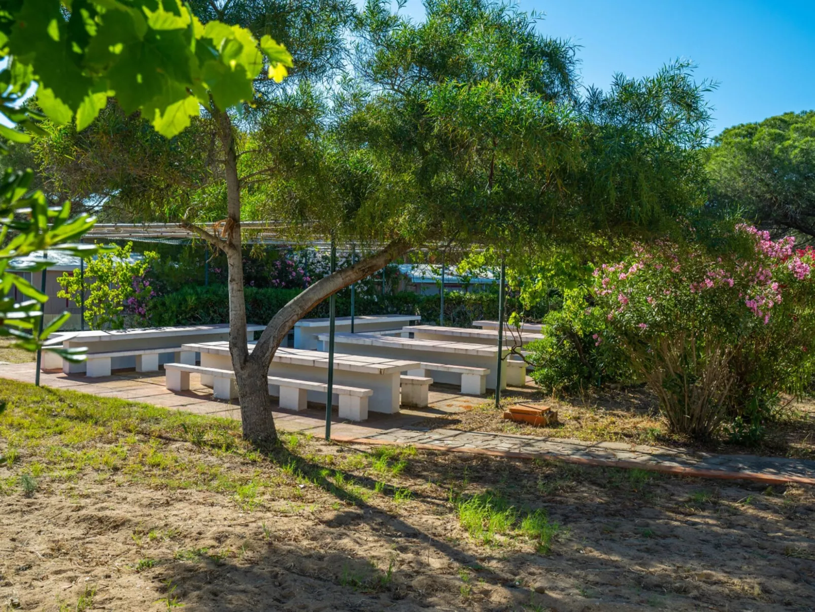 Camping Baia Paradiso-Binnen
