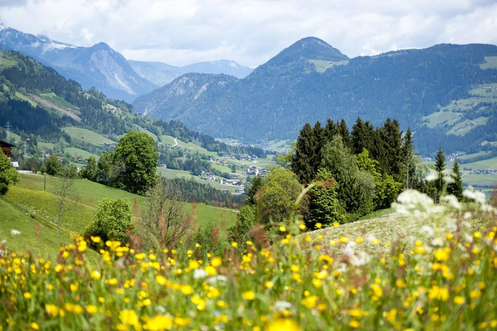 Apart Resort Fügenerhof - 2-Raum Typ 1-Gebieden zomer 5km