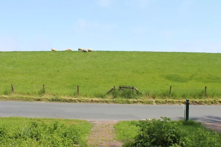 Deichblick-Uitzicht zomer