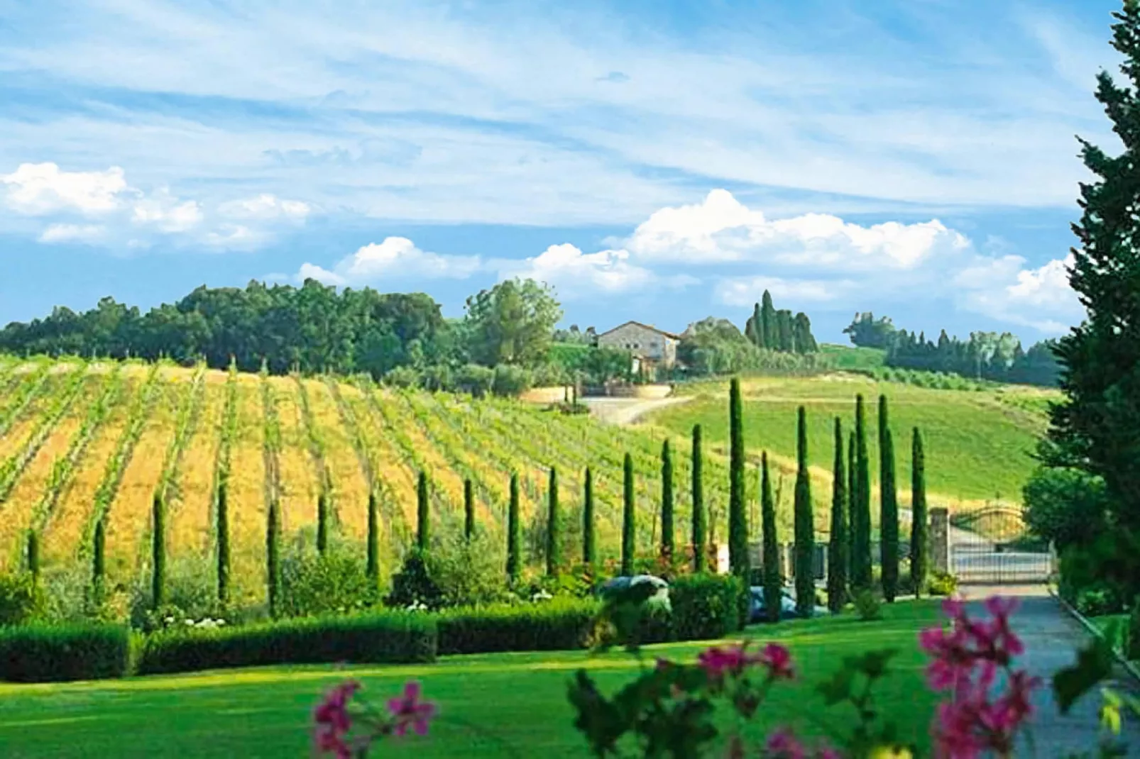 Ferienanlage Borgo della Meliana Gambassi Terme Typ Bilo-Gebieden zomer 5km