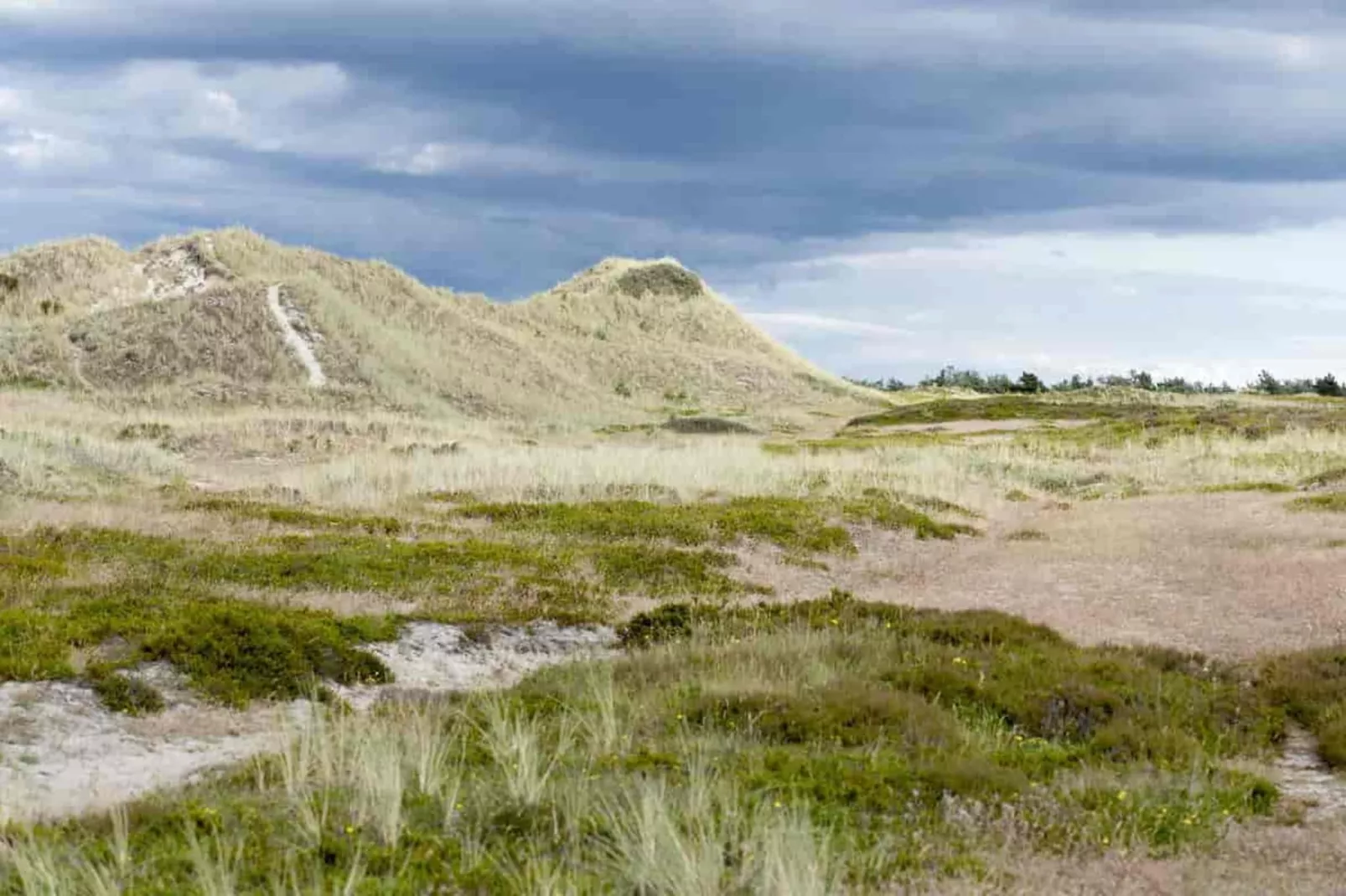 6 persoons vakantie huis in Læsø-By Traum-Uitzicht