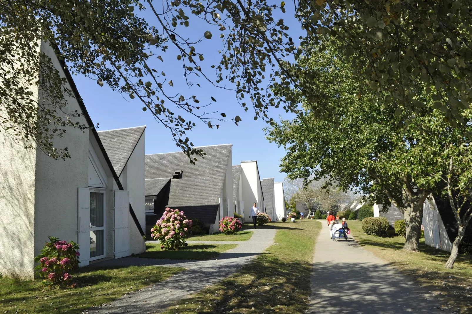 Gîte 3 Pièces 5 Personnes 1 bébé Vue océan depuis la terrasse-Image-tags.