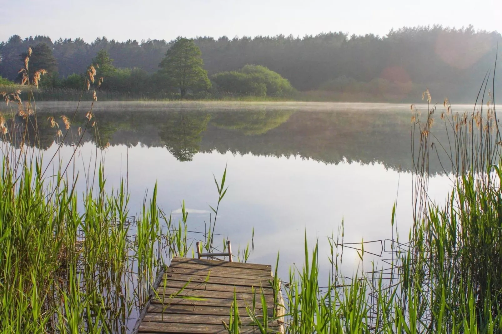 Doppelhaus Seestern-Gebieden zomer 5km